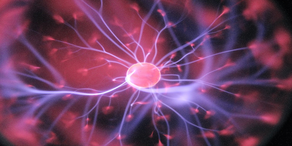 Neuroscienze comportamentali e promozione del Benessere: prevenzione, neuropotenziamento e neuroriabilitazione