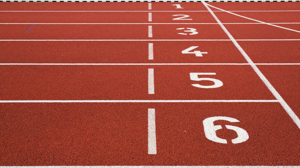 Il 18 marzo 2024, Trans-national Meeting Parigi 2024