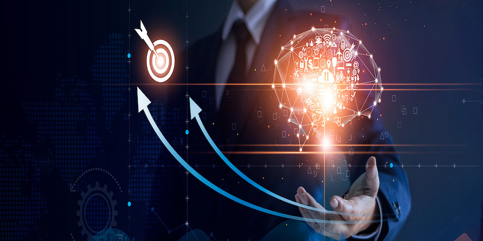 Neuroscienze del decision-making nelle organizzazioni: evidenze empiriche e riflessioni applicative